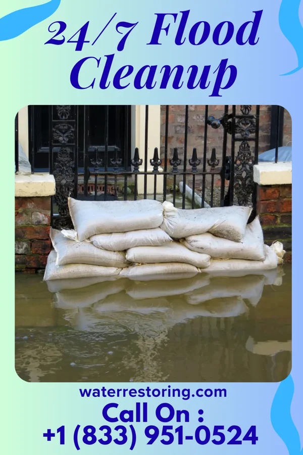 24/7 Flood Cleanup in Fairbury, IL