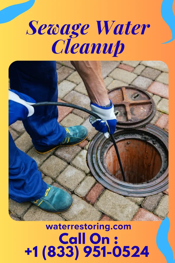 Sewage Water Cleanup in Fairbury, IL