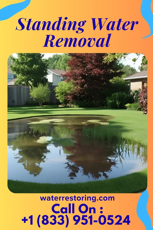 Standing Water Removal in Fairbury, IL